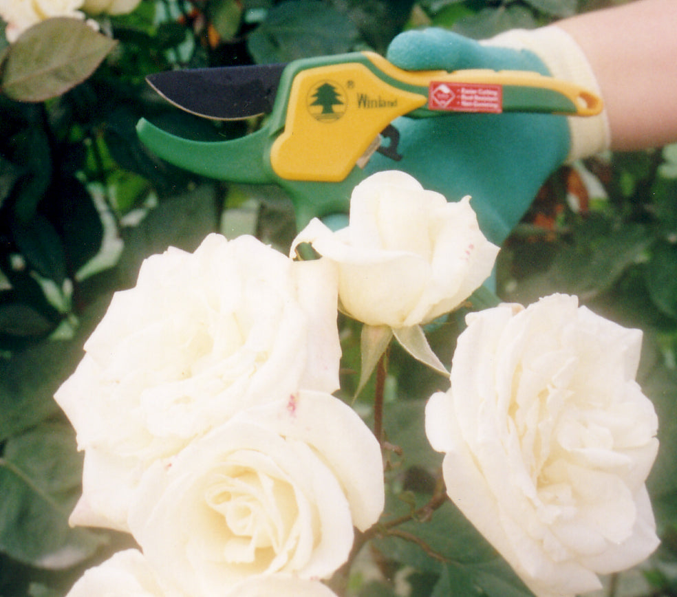 Pruning Equipment
