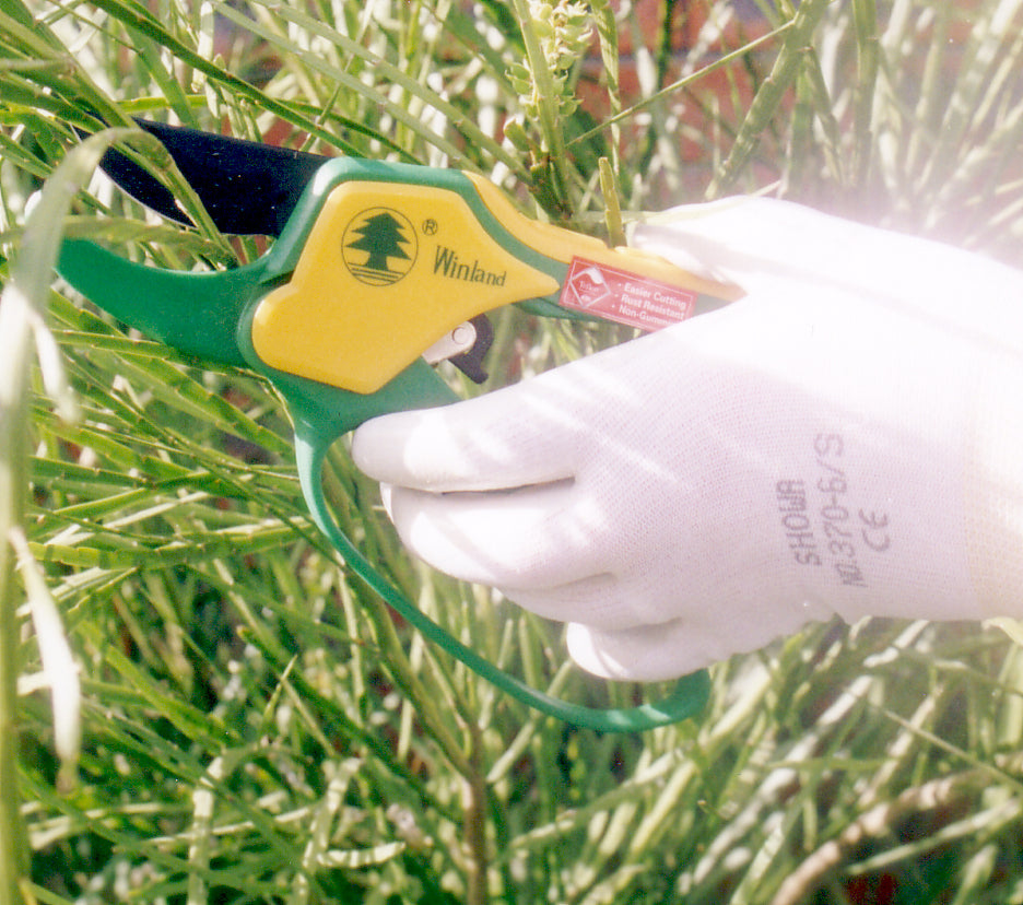 All Dry Garden Goods
