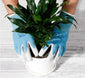 Surgeon Touch Garden Gloves