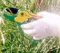 Proprune Pruners