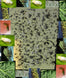 Sticky White Fly Traps (Pack of 30)